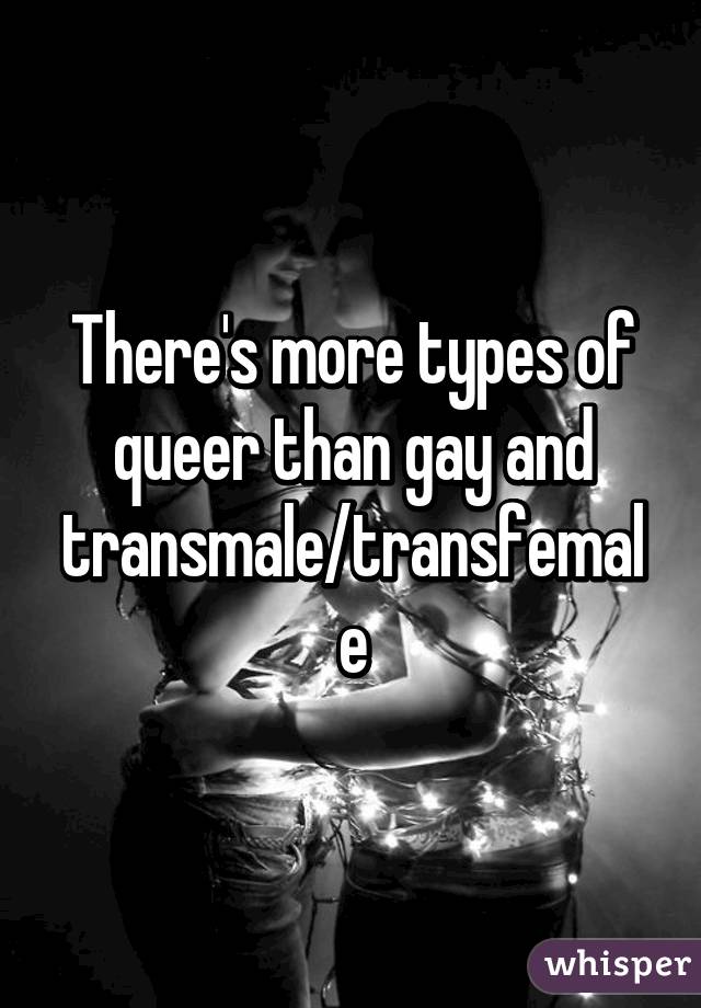 There's more types of queer than gay and transmale/transfemale