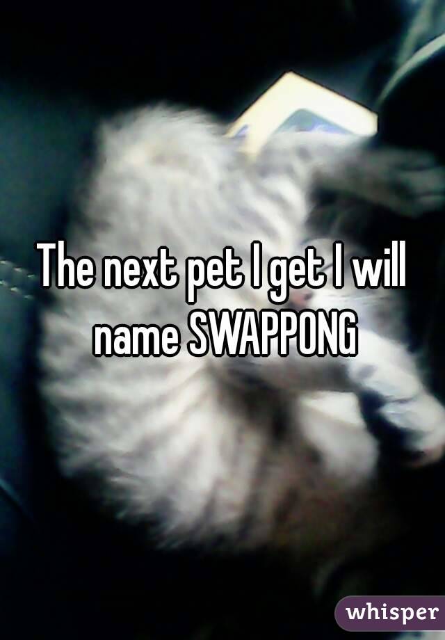 The next pet I get I will name SWAPPONG