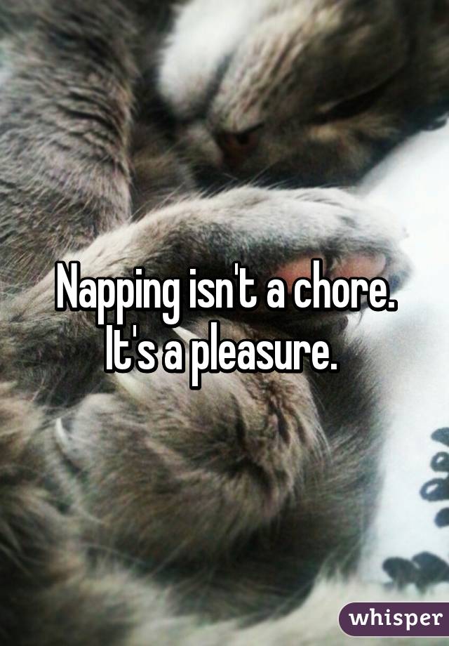 Napping isn't a chore. It's a pleasure. 