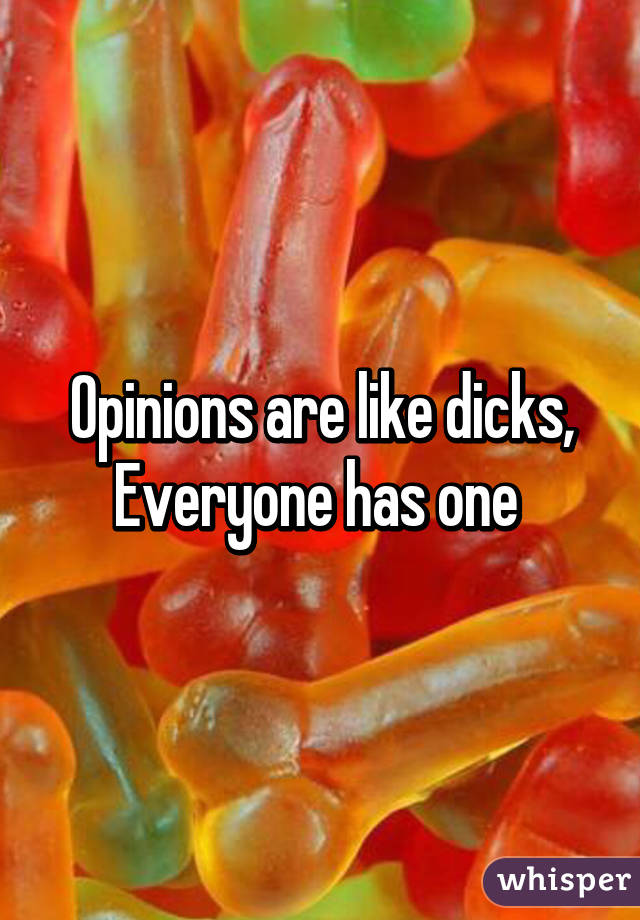 Opinions are like dicks,
Everyone has one 