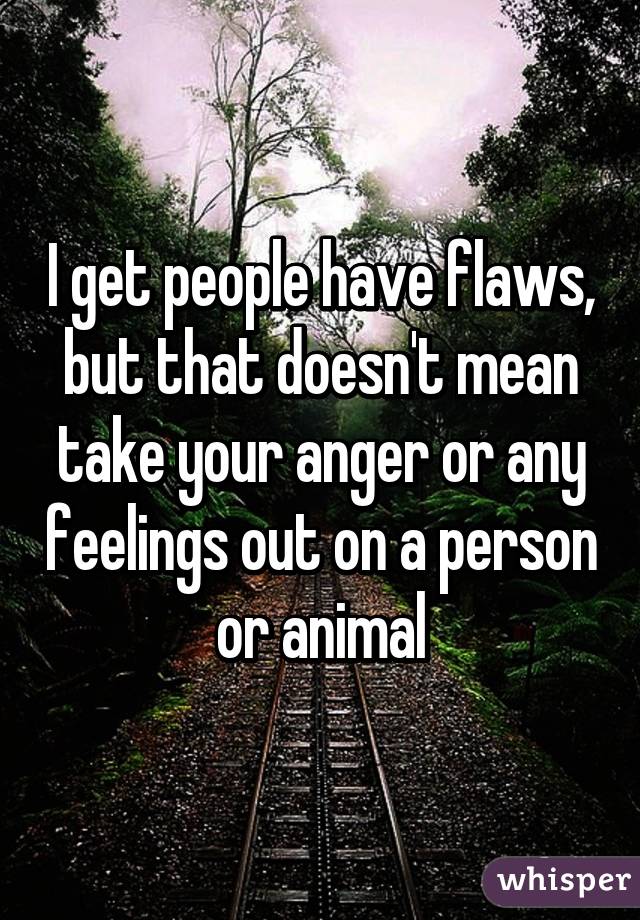 I get people have flaws, but that doesn't mean take your anger or any feelings out on a person or animal