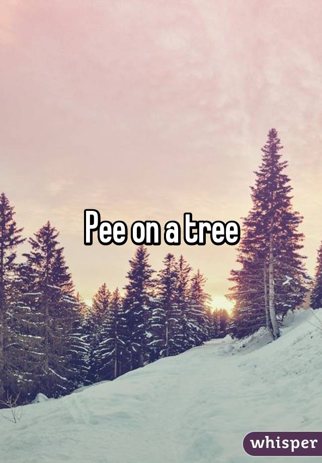Pee on a tree
