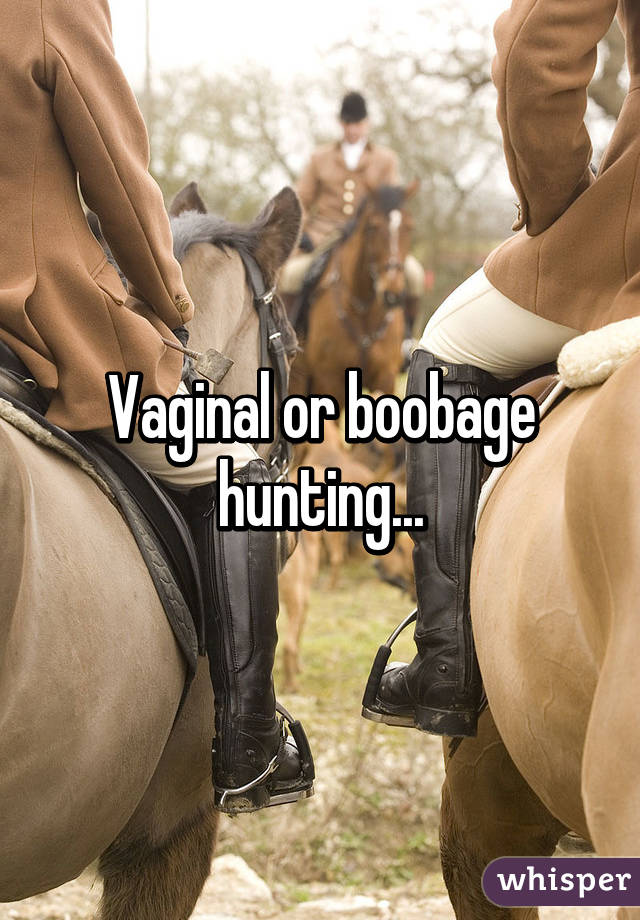 Vaginal or boobage hunting...