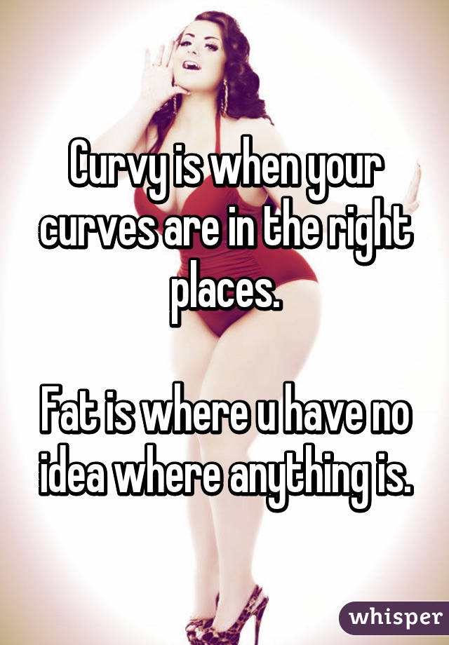 Curvy is when your curves are in the right places.

Fat is where u have no idea where anything is.