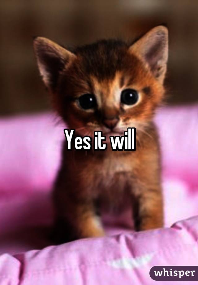 Yes it will