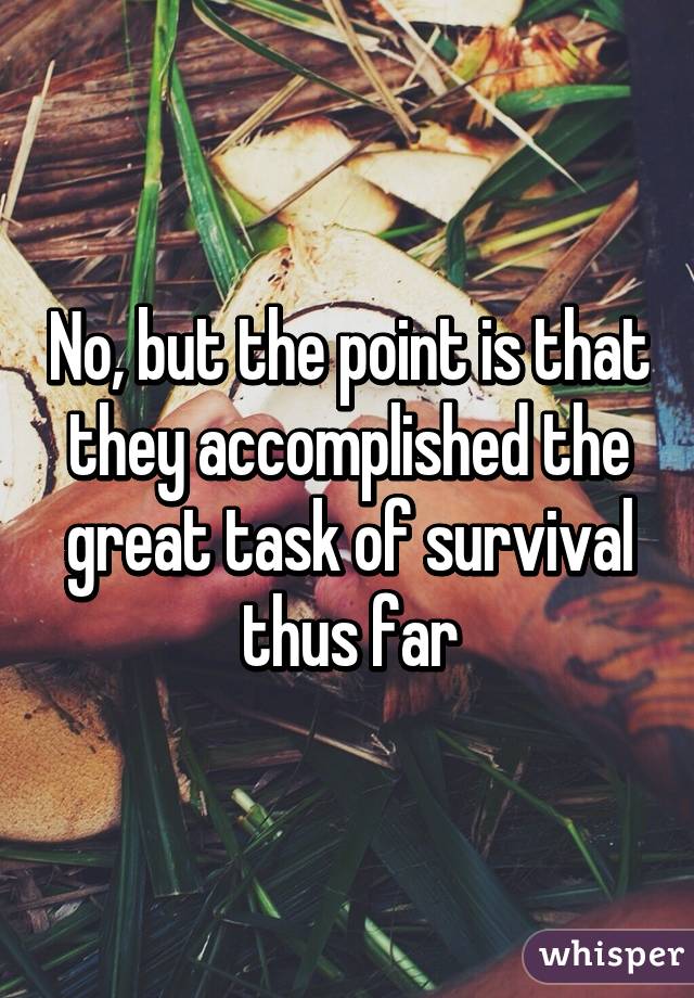 No, but the point is that they accomplished the great task of survival thus far