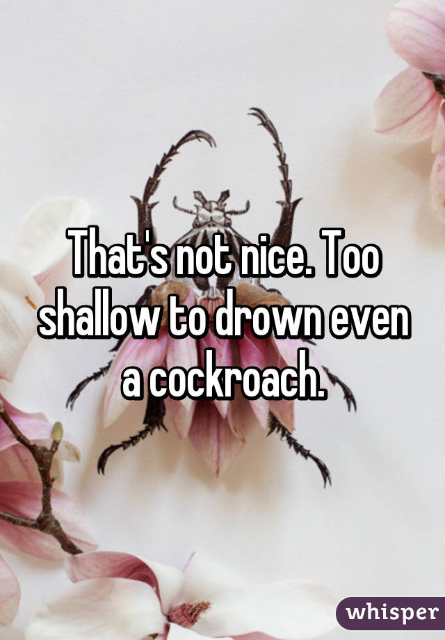 That's not nice. Too shallow to drown even a cockroach.