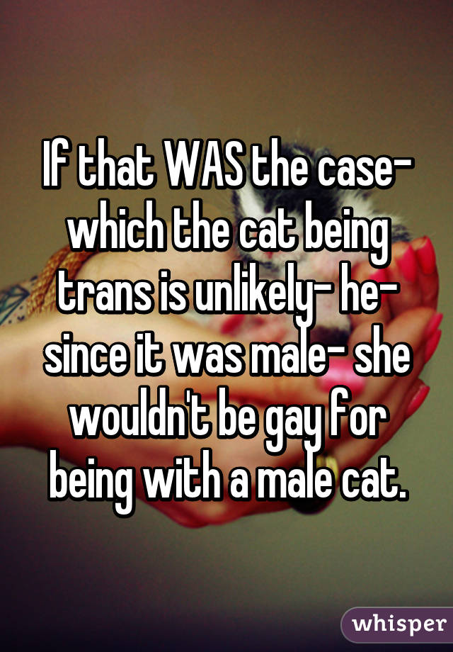 If that WAS the case- which the cat being trans is unlikely- he- since it was male- she wouldn't be gay for being with a male cat.