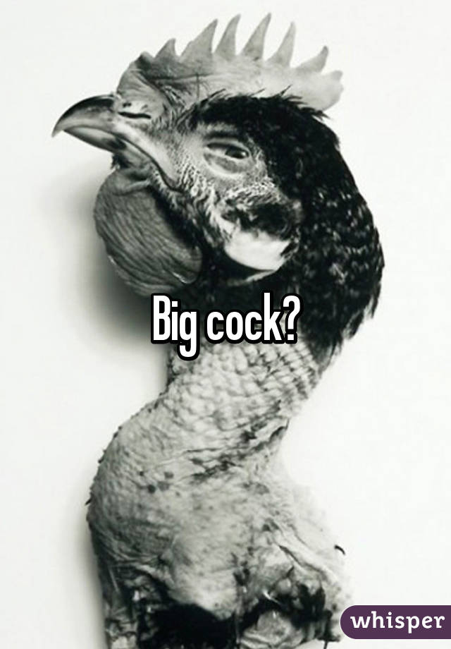 Big cock?