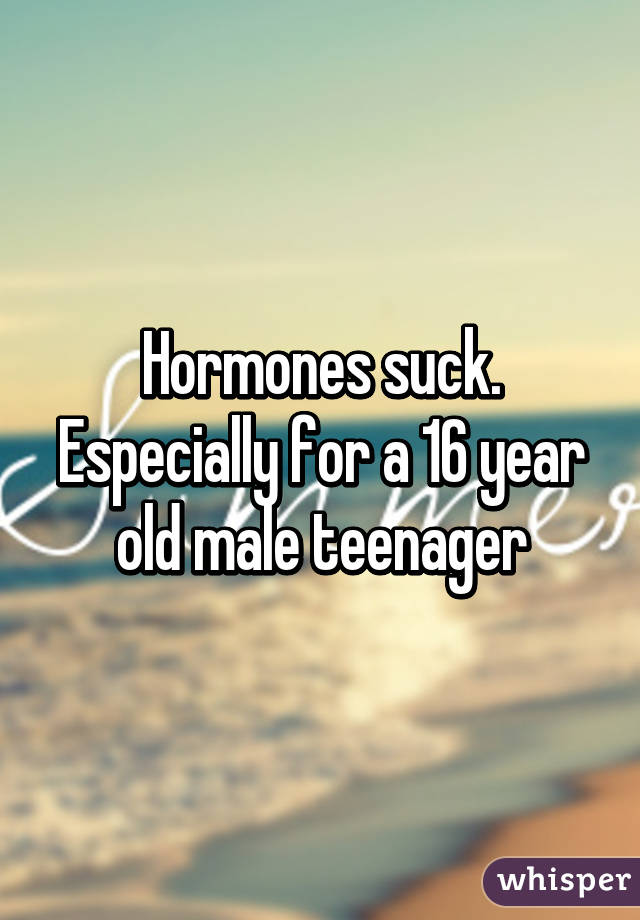 Hormones suck. Especially for a 16 year old male teenager