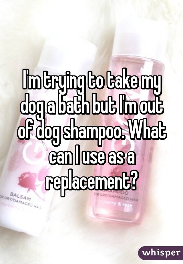 I'm trying to take my dog a bath but I'm out of dog shampoo. What can I use as a replacement?