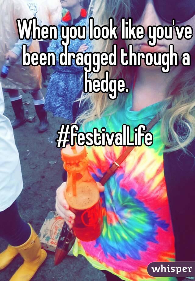 When you look like you've been dragged through a hedge.

#festivalLife