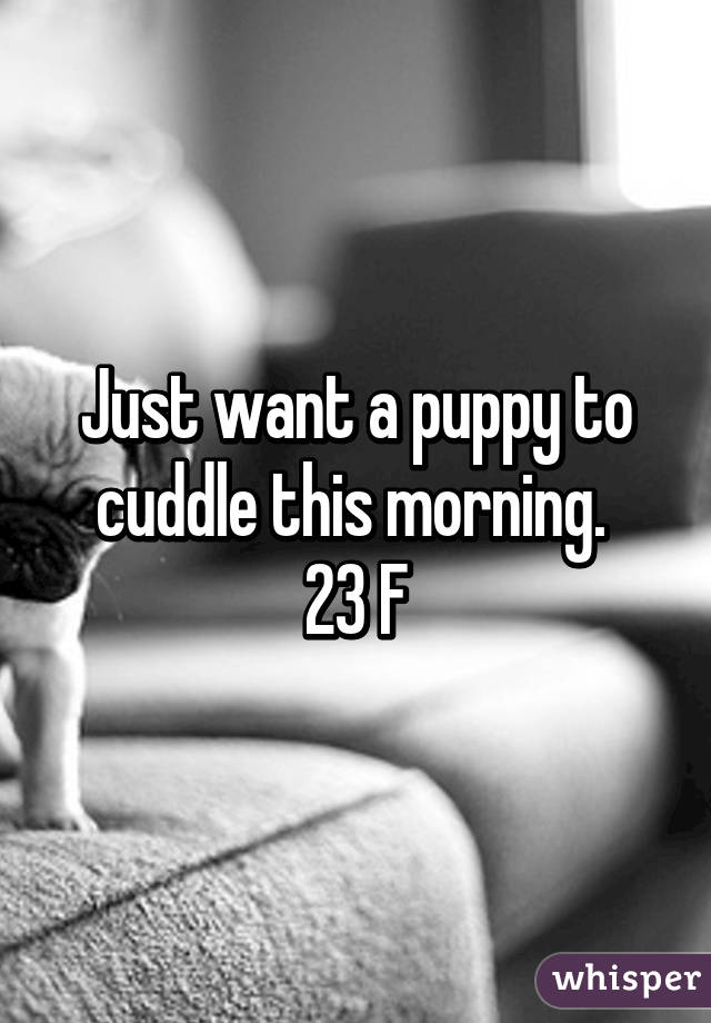 Just want a puppy to cuddle this morning. 
23 F