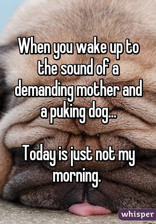 when-you-wake-up-to-the-sound-of-a-demanding-mother-and-a-puking-dog