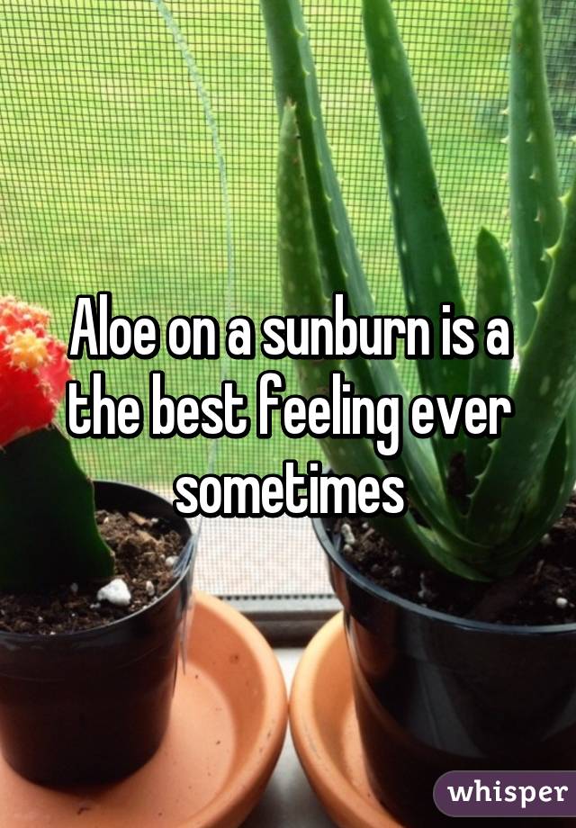 Aloe on a sunburn is a the best feeling ever sometimes