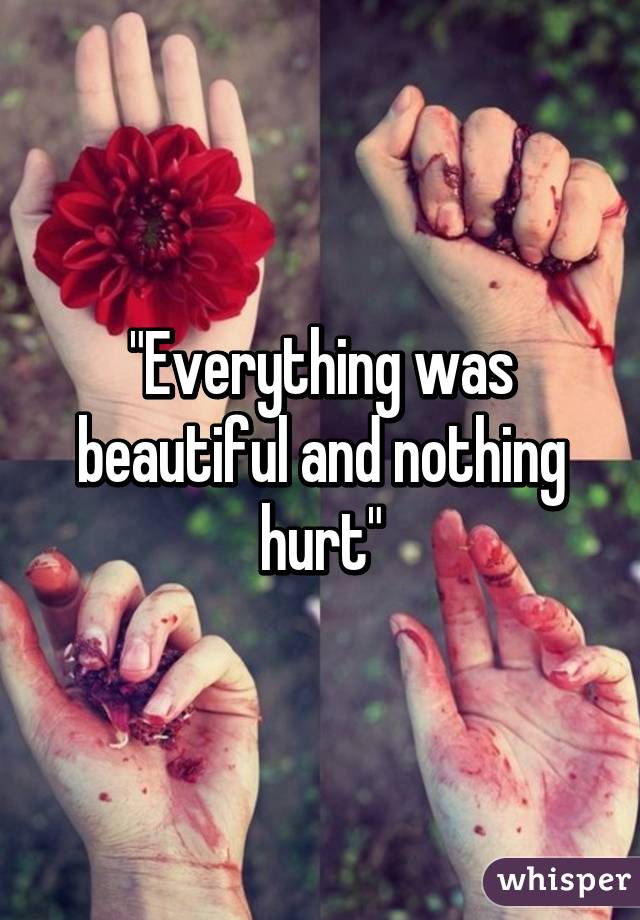 "Everything was beautiful and nothing hurt"