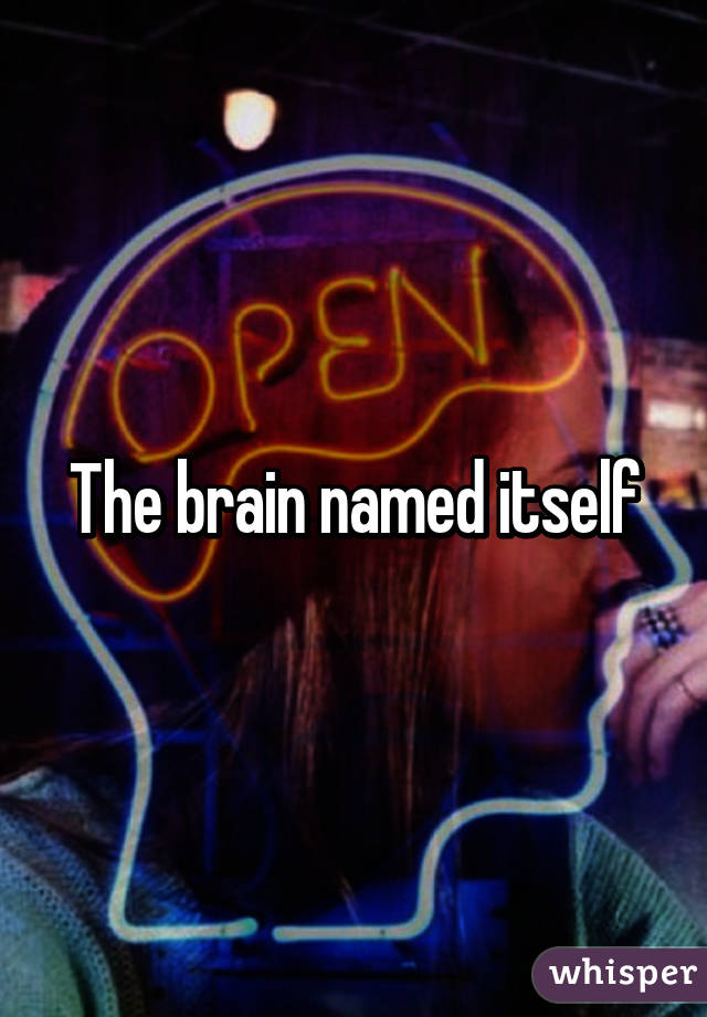 The brain named itself