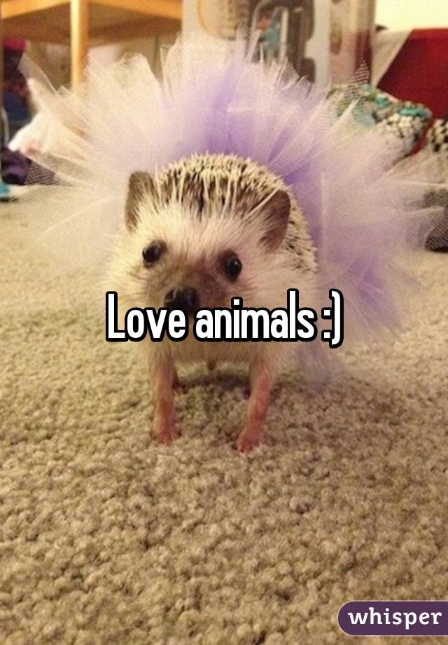 Love animals :)