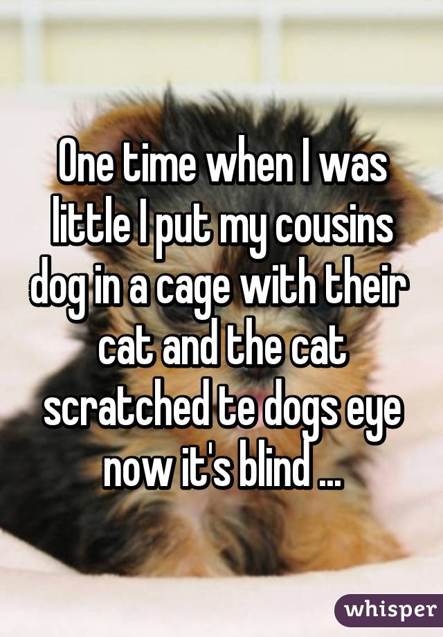 One time when I was little I put my cousins dog in a cage with their  cat and the cat scratched te dogs eye now it's blind ...