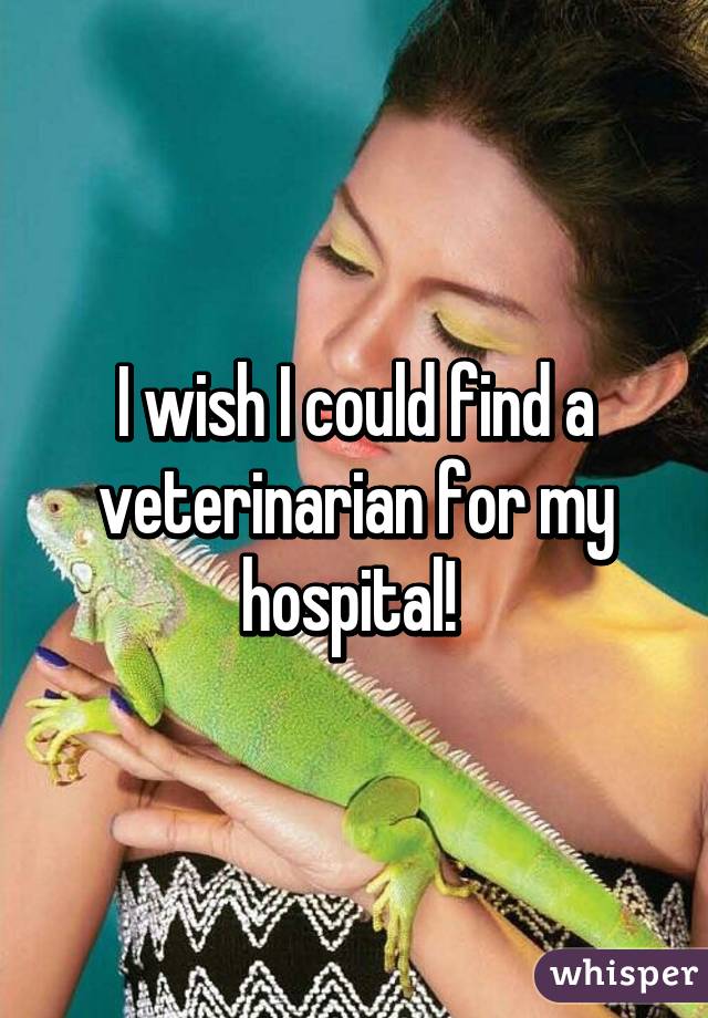 I wish I could find a veterinarian for my hospital! 