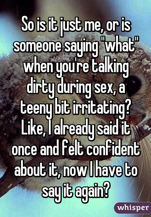 So is it just me, or is someone saying "what" when you're talking dirty during sex, a teeny bit irritating? Like, I already said it once and felt confident about it, now I have to say it again?