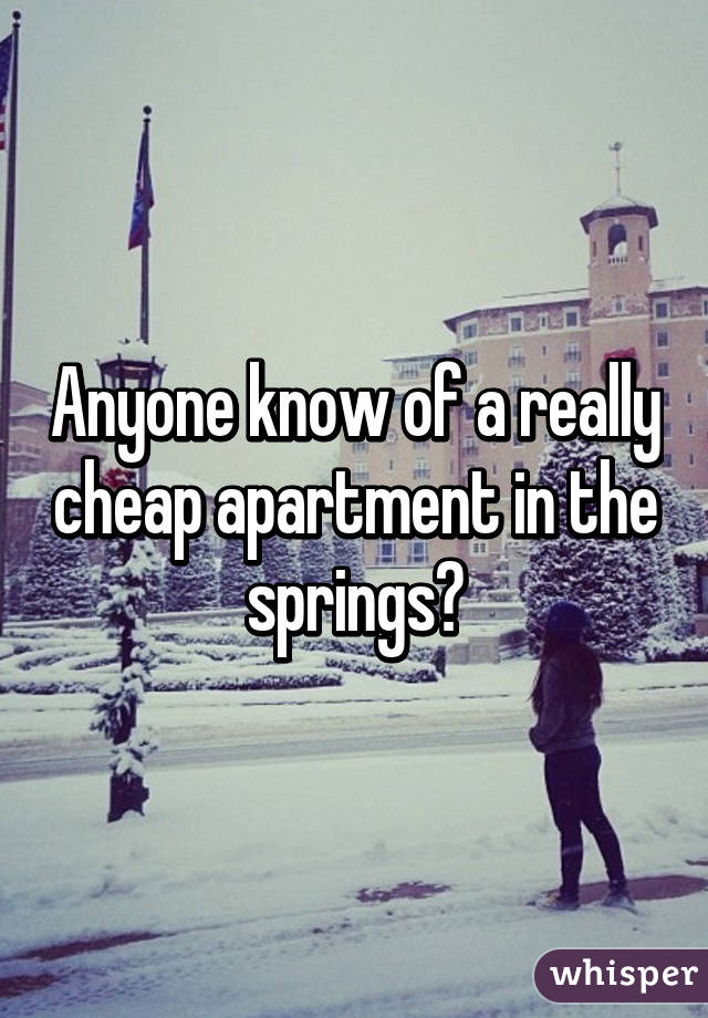 Anyone know of a really cheap apartment in the springs?