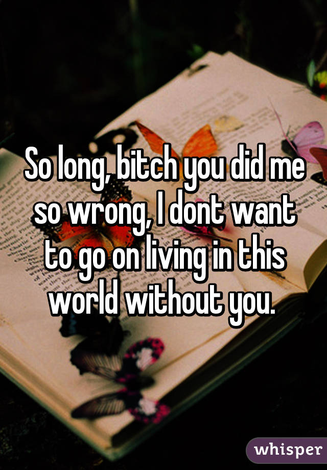 So long, bitch you did me so wrong, I dont want to go on living in this world without you. 