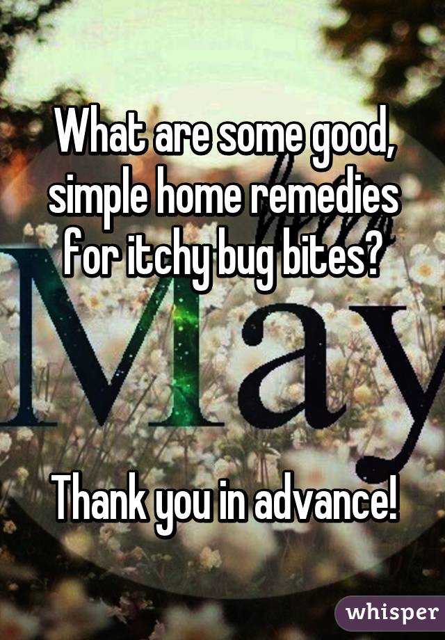 What are some good, simple home remedies for itchy bug bites?



Thank you in advance!