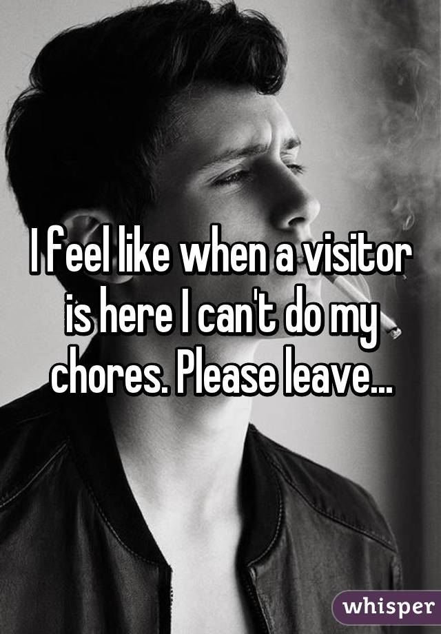 I feel like when a visitor is here I can't do my chores. Please leave...