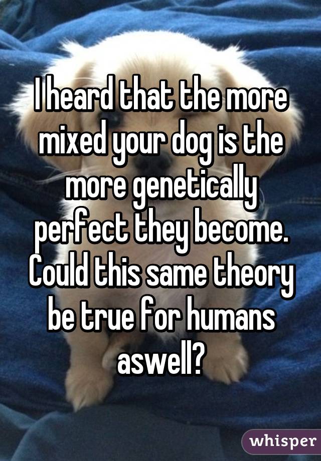 I heard that the more mixed your dog is the more genetically perfect they become. Could this same theory be true for humans aswell?