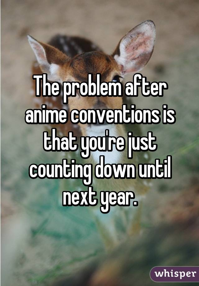 The problem after anime conventions is that you're just counting down until next year.