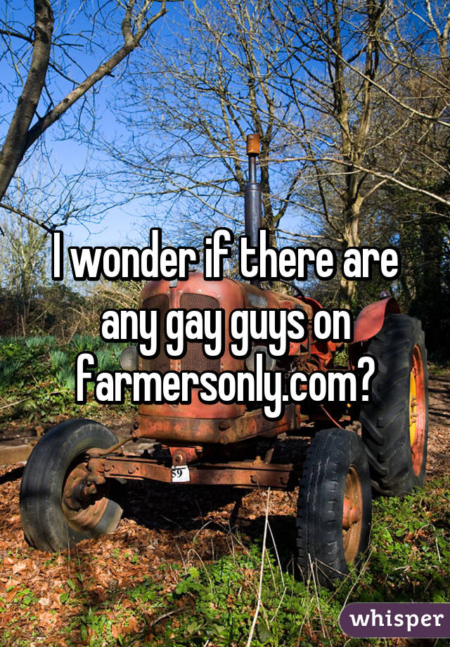 I wonder if there are any gay guys on farmersonly.com?