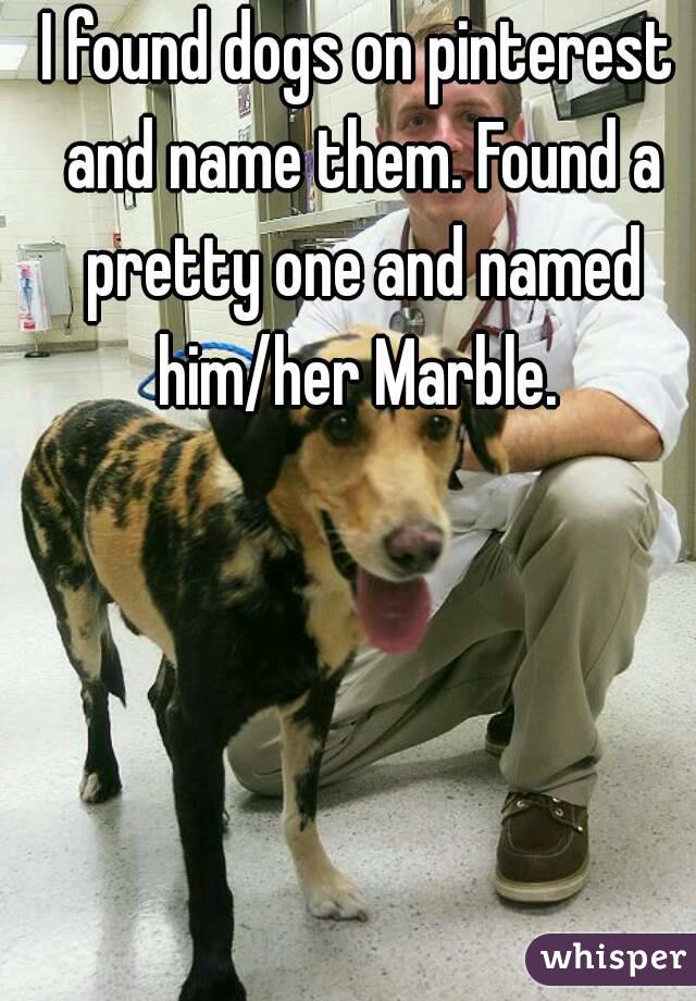 I found dogs on pinterest and name them. Found a pretty one and named him/her Marble. 