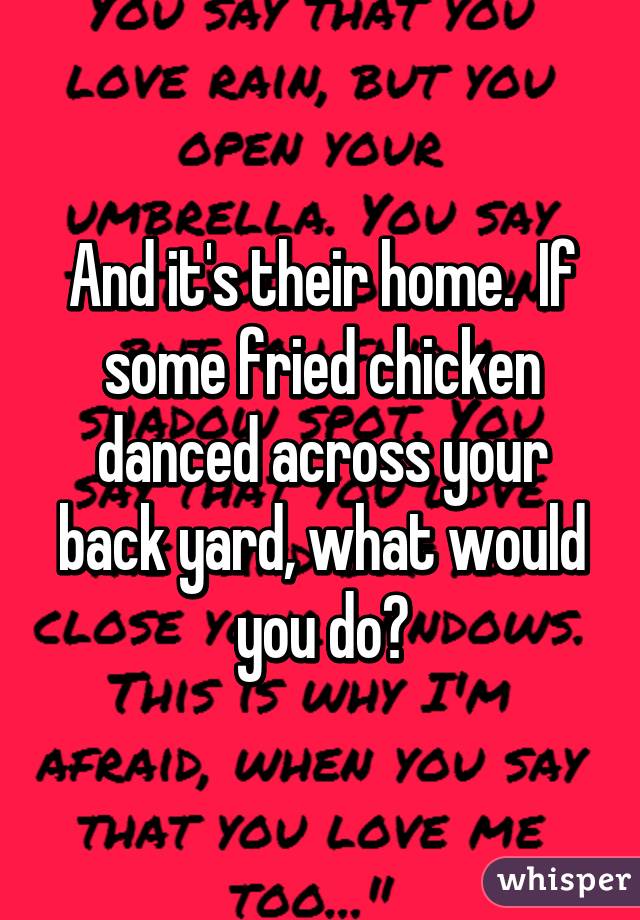 And it's their home.  If some fried chicken danced across your back yard, what would you do?