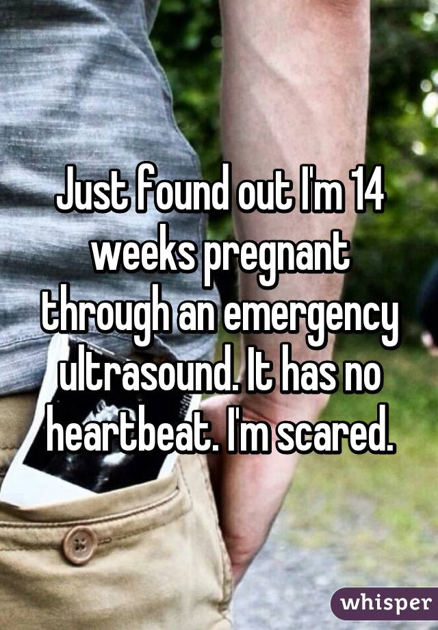 Just found out I'm 14 weeks pregnant through an emergency ultrasound. It has no heartbeat. I'm scared.