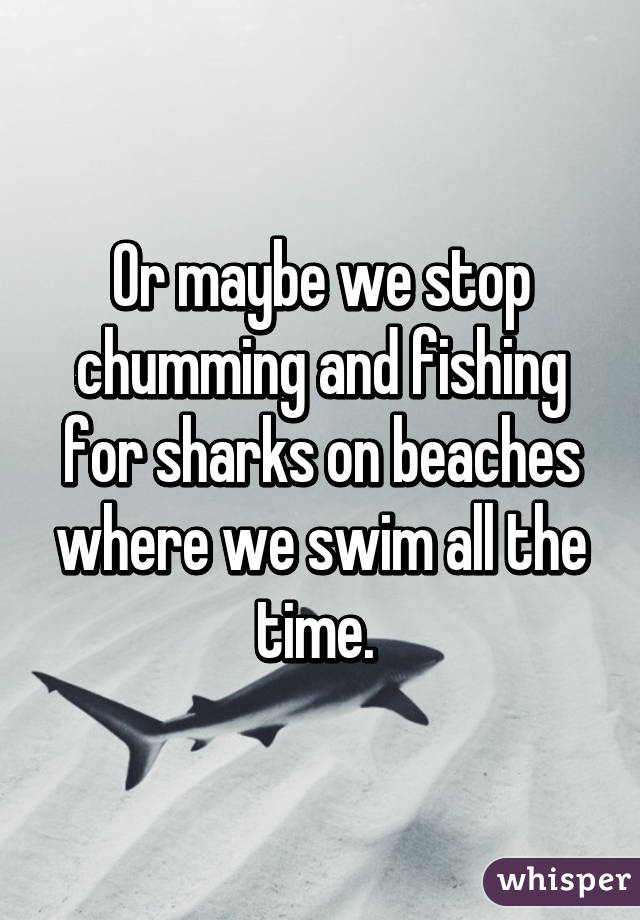 Or maybe we stop chumming and fishing for sharks on beaches where we swim all the time. 