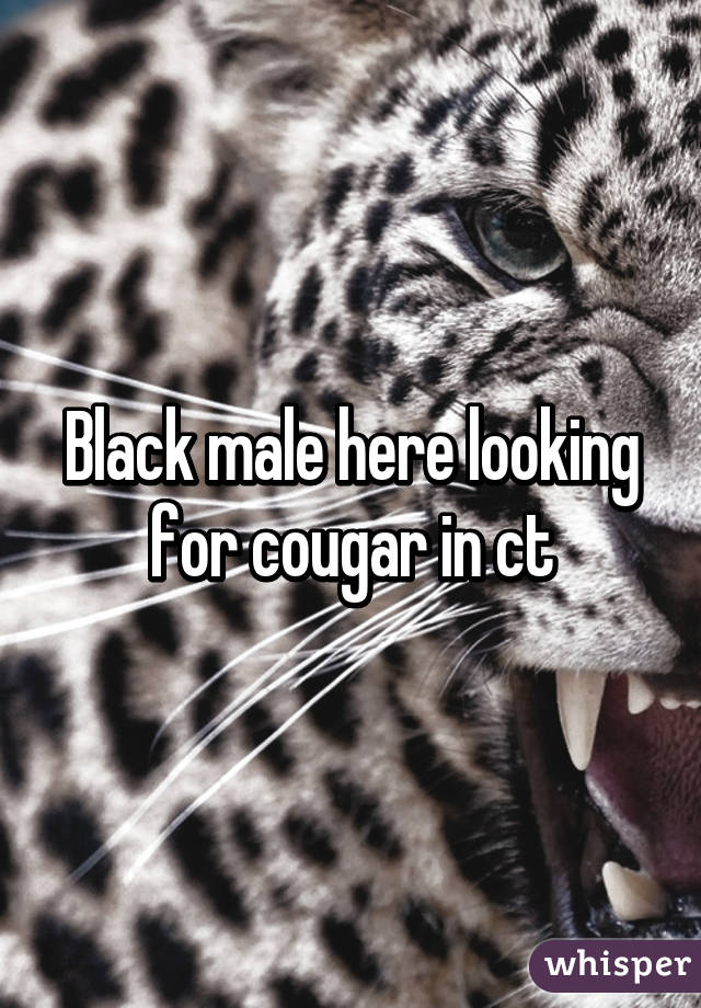 Black male here looking for cougar in ct