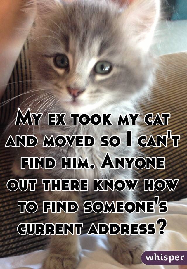 My ex took my cat and moved so I can't find him. Anyone out there know how to find someone's current address?