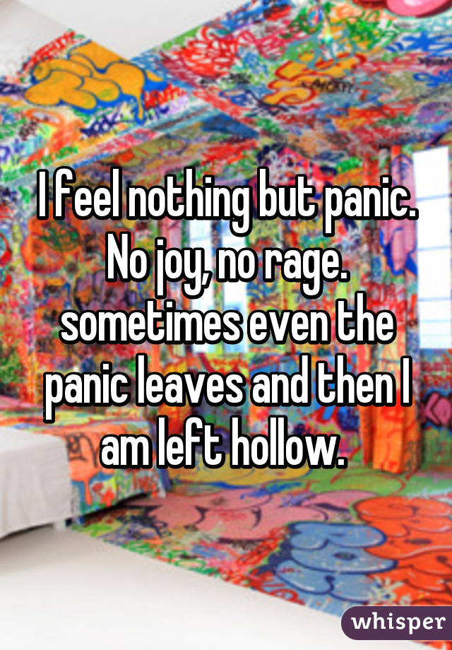 I feel nothing but panic. No joy, no rage. sometimes even the panic leaves and then I am left hollow. 