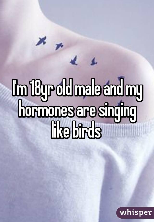 I'm 18yr old male and my hormones are singing like birds 