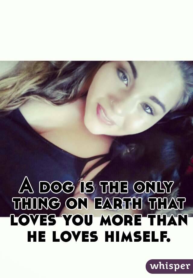 A dog is the only thing on earth that loves you more than he loves himself.
