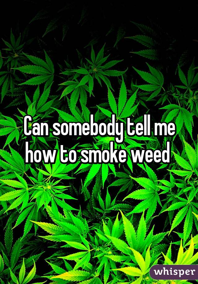 Can somebody tell me how to smoke weed 