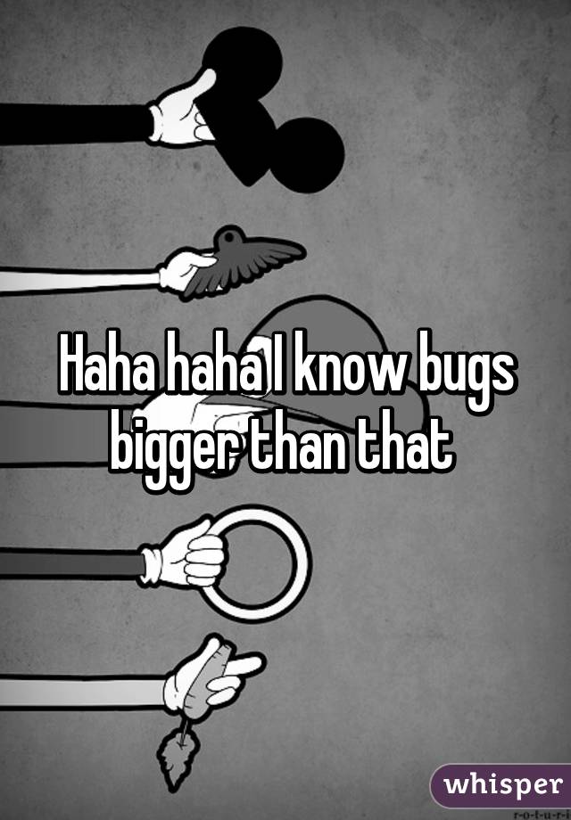 Haha haha I know bugs bigger than that 