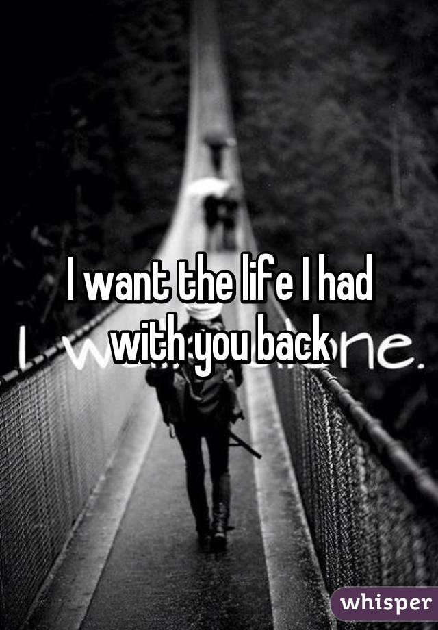 I want the life I had with you back