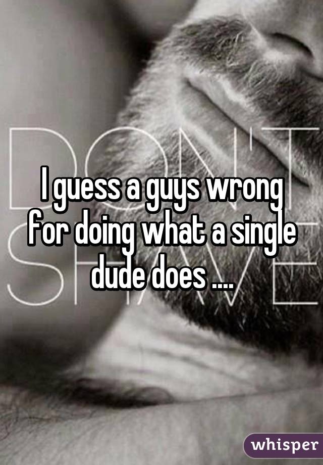 I guess a guys wrong for doing what a single dude does ....