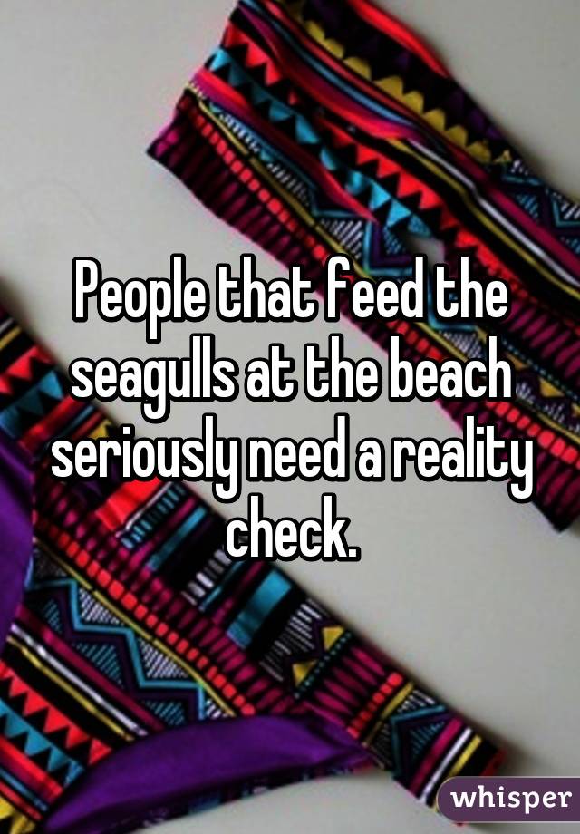 People that feed the seagulls at the beach seriously need a reality check.