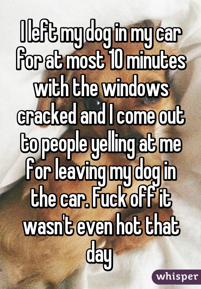 I left my dog in my car for at most 10 minutes with the windows cracked and I come out to people yelling at me for leaving my dog in the car. Fuck off it wasn't even hot that day 