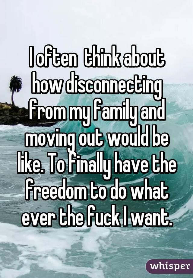 I often  think about how disconnecting from my family and moving out would be like. To finally have the freedom to do what ever the fuck I want.