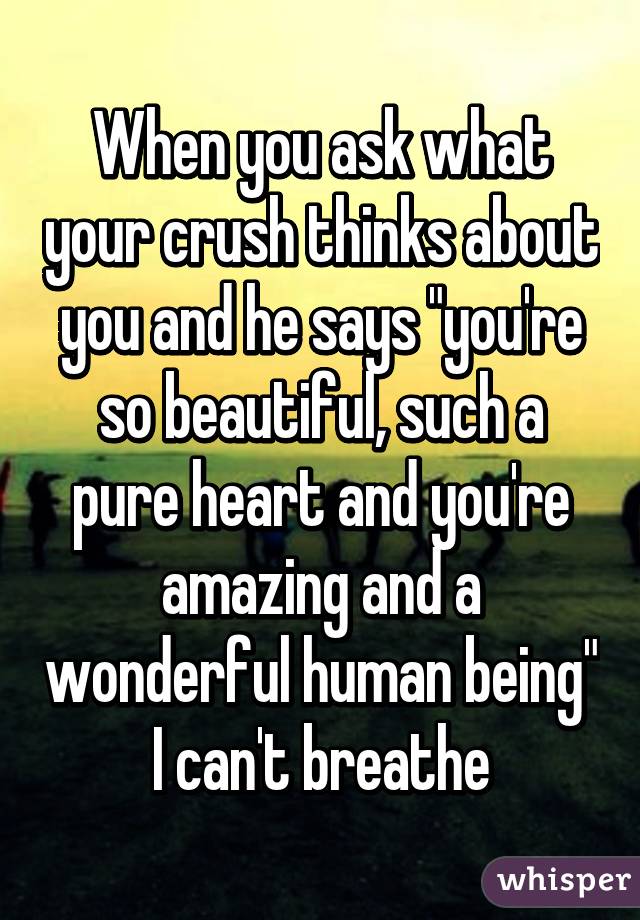 When you ask what your crush thinks about you and he says "you're so beautiful, such a pure heart and you're amazing and a wonderful human being" I can't breathe