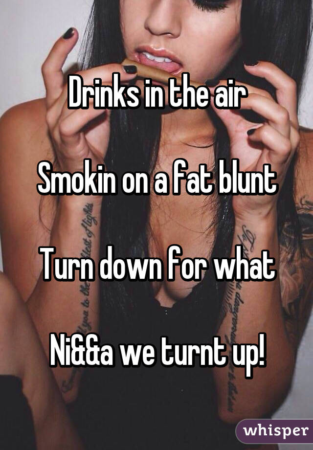 Drinks in the air

Smokin on a fat blunt

Turn down for what

Ni&&a we turnt up!